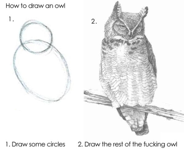 How to draw an owl: First draw two circles, then finish the damn thing