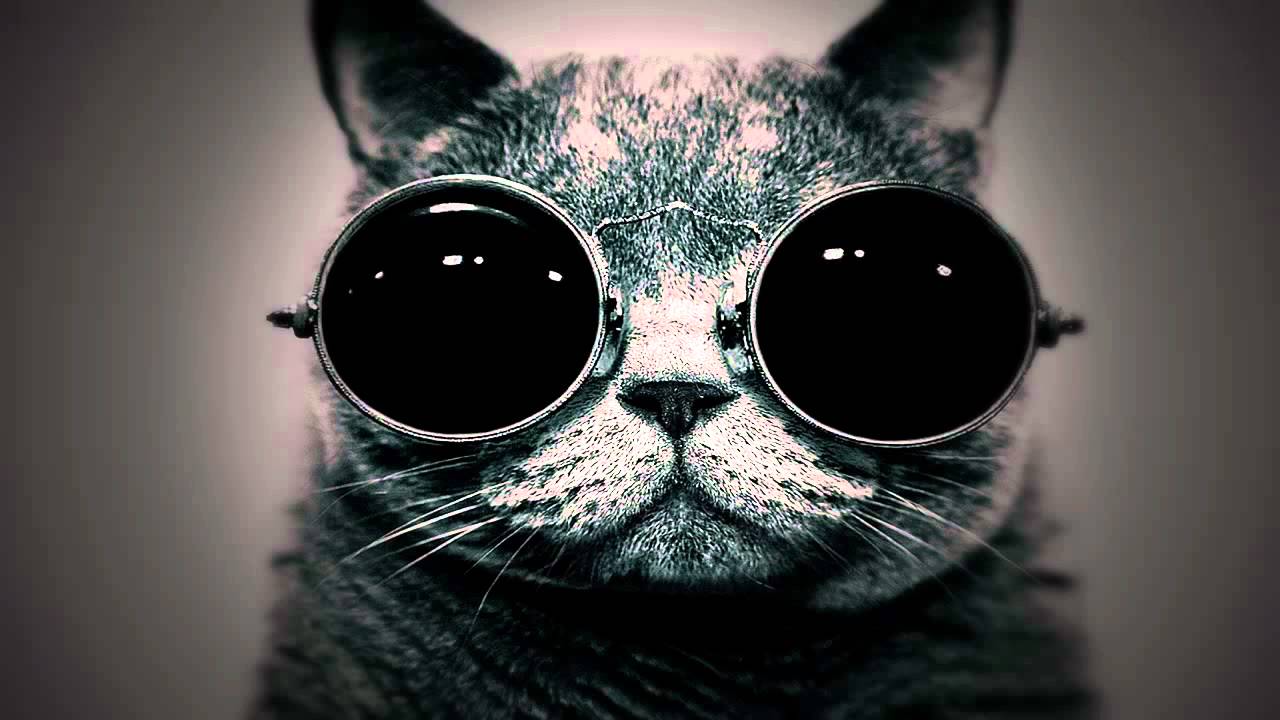 cat with steam punk goggles